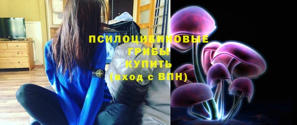 герыч Ельня