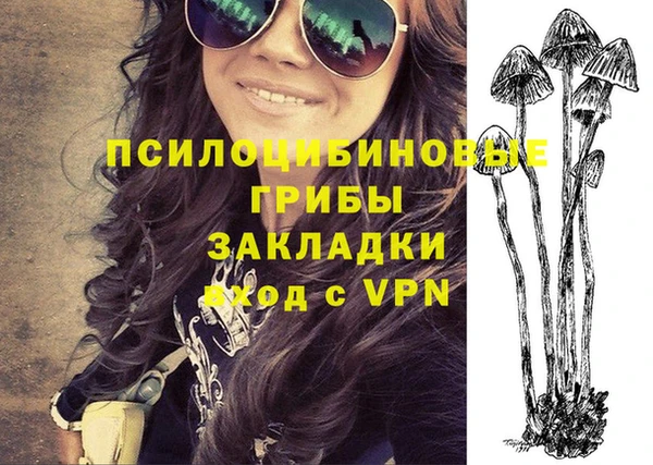 прущая мука Новозыбков