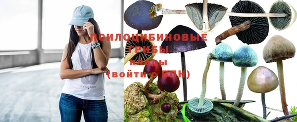 мяу мяу мука Усинск