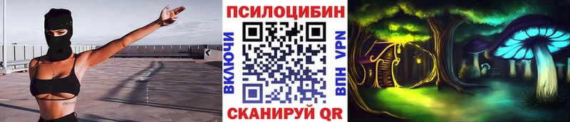 Псилоцибиновые грибы мицелий  Пионерский 
