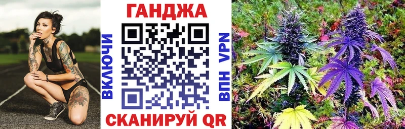 Бошки Шишки OG Kush  kraken как войти  Пионерский 